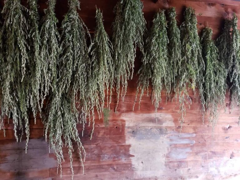 Serene-Offerings-Hanging-Bundles