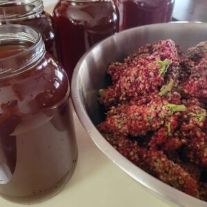 Fermented Ramp Soy Sauce