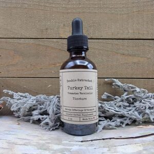 Turkey Tail - Tincture